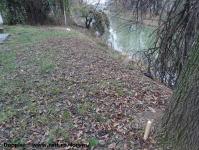 Imagine atasata: Bega - 2014.12.02 - 05.jpg